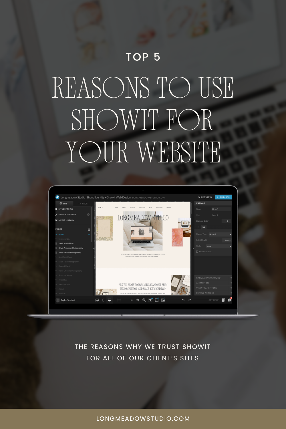 Top 5 Reasons to use Showit for Your Website